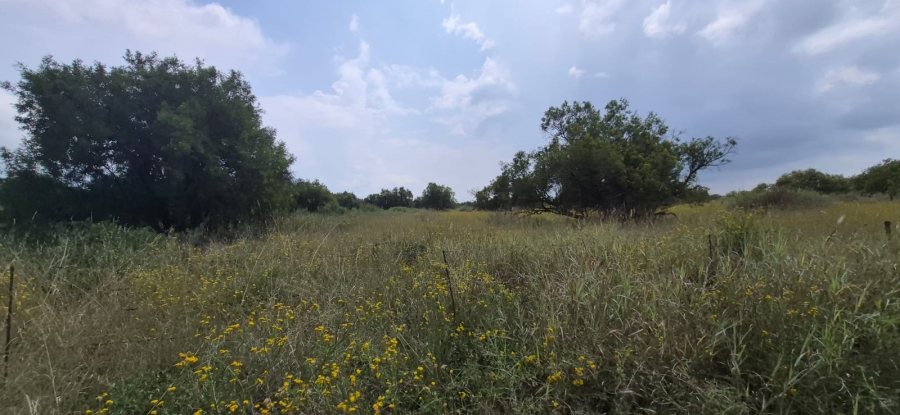 0 Bedroom Property for Sale in Koster North West